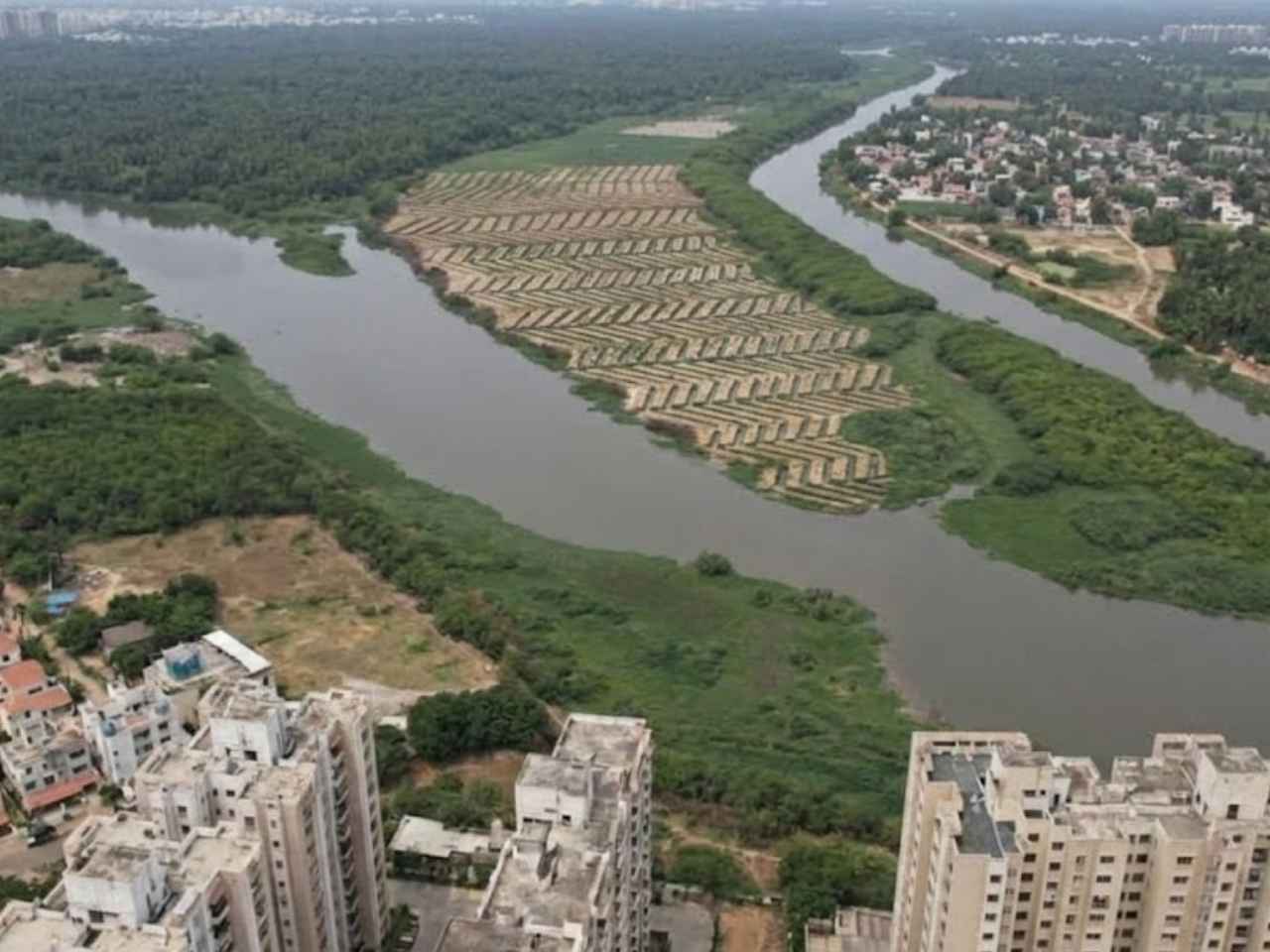 Buckingham Canal in Chennai where the mangrove restoration project is being carried out to strengthen the coastal ecosystem.